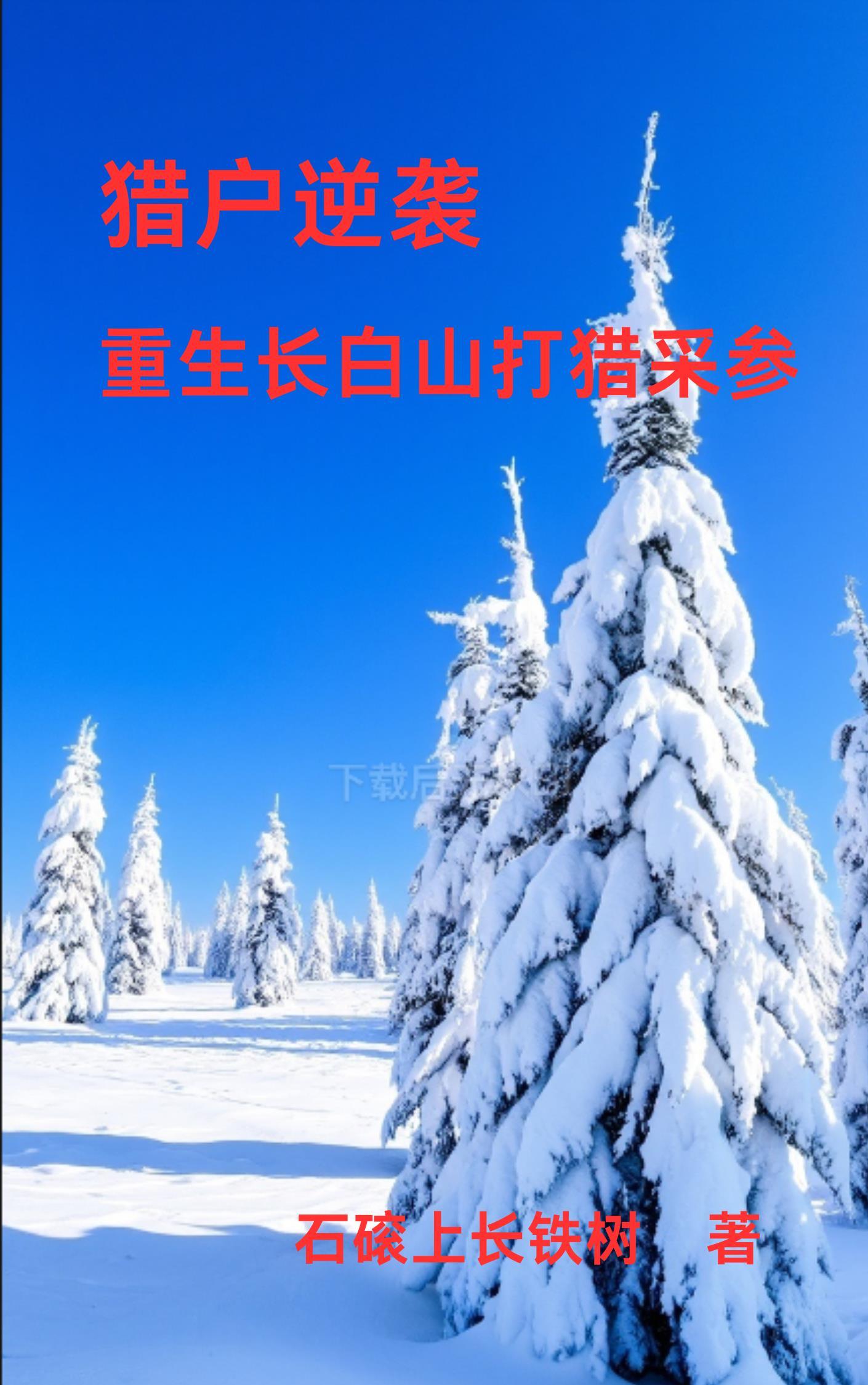 清冷师姐天才师弟